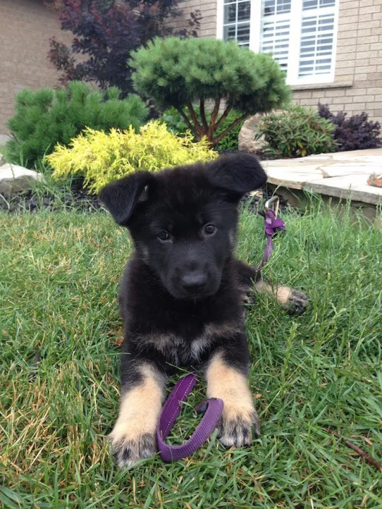 DOSTA JE BILO POLITIKE I NEGATIVE! Razveselite se uz njihove preslatke nju&scaron;kice