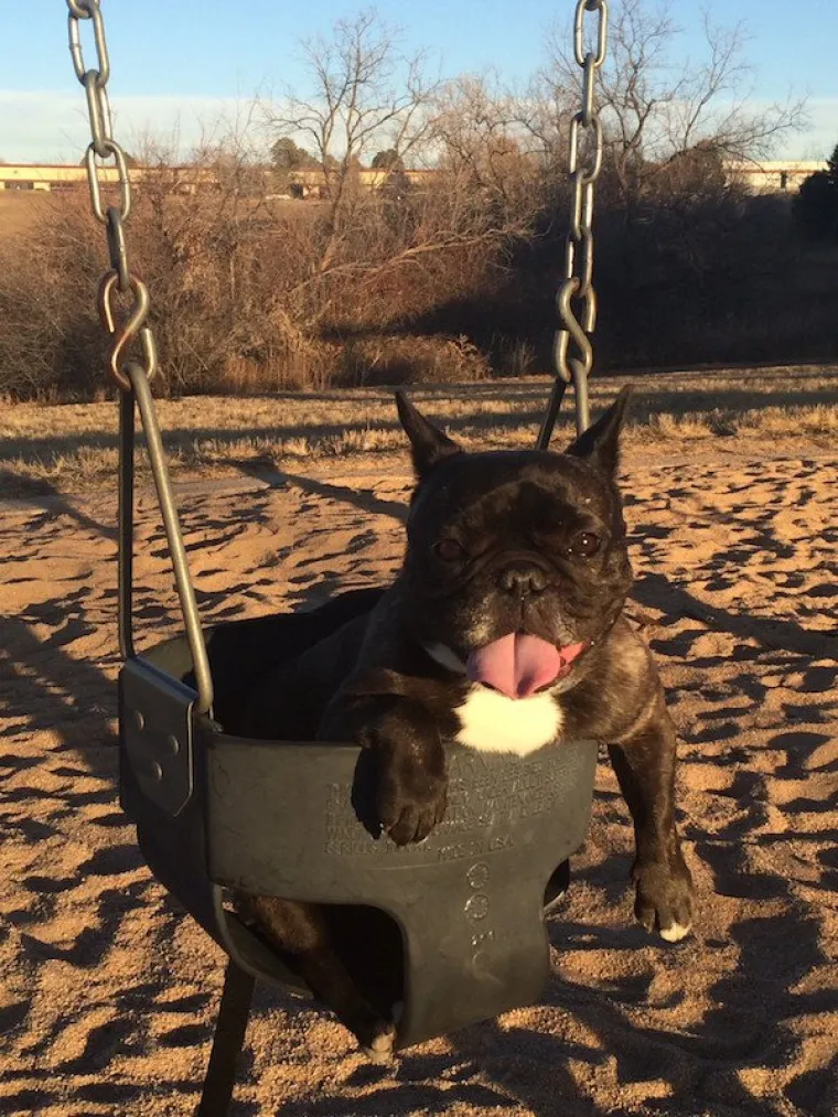 DOSTA JE BILO POLITIKE I NEGATIVE! Razveselite se uz njihove preslatke nju&scaron;kice