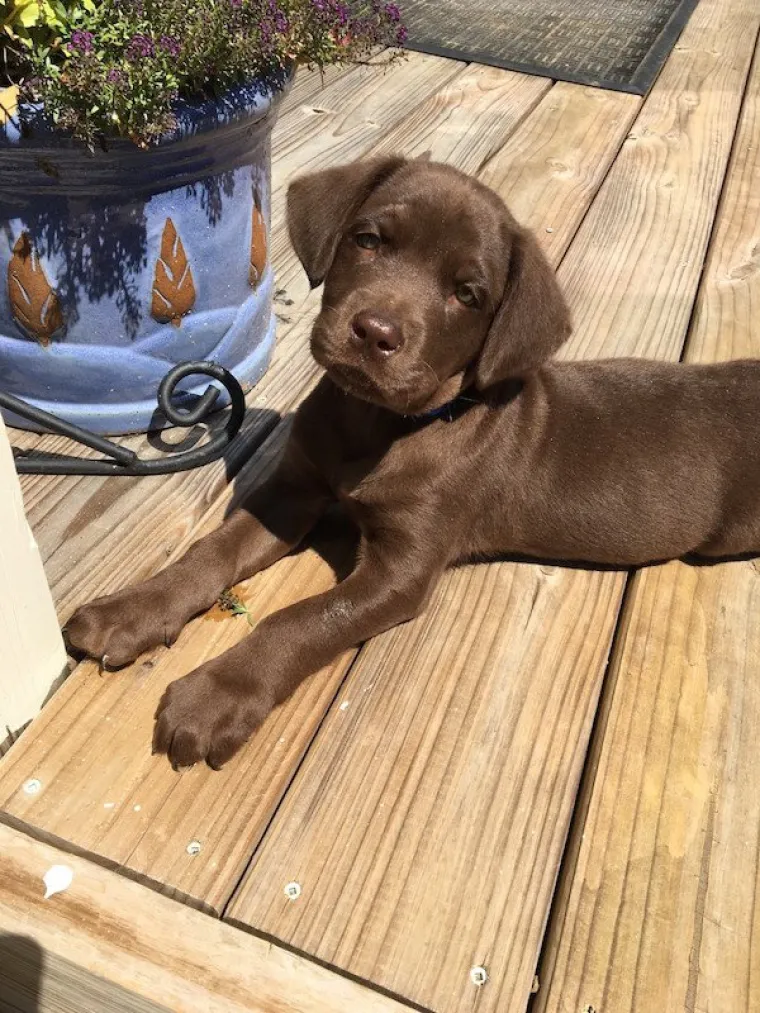 DOSTA JE BILO POLITIKE I NEGATIVE! Razveselite se uz njihove preslatke nju&scaron;kice