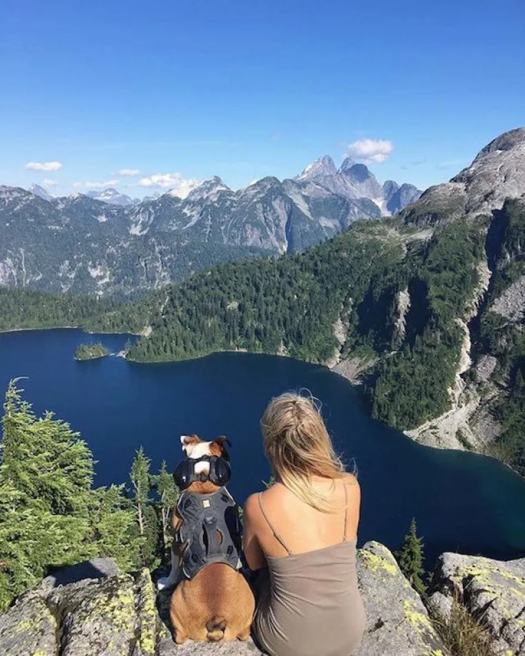 DOSTA JE BILO POLITIKE I NEGATIVE! Razveselite se uz njihove preslatke nju&scaron;kice