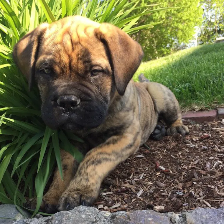 DOSTA JE BILO POLITIKE I NEGATIVE! Razveselite se uz njihove preslatke nju&scaron;kice