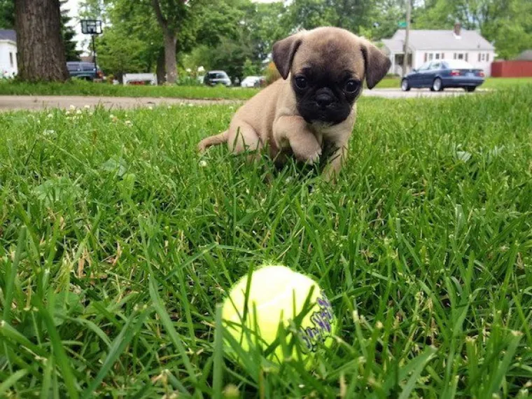 DOSTA JE BILO POLITIKE I NEGATIVE! Razveselite se uz njihove preslatke nju&scaron;kice