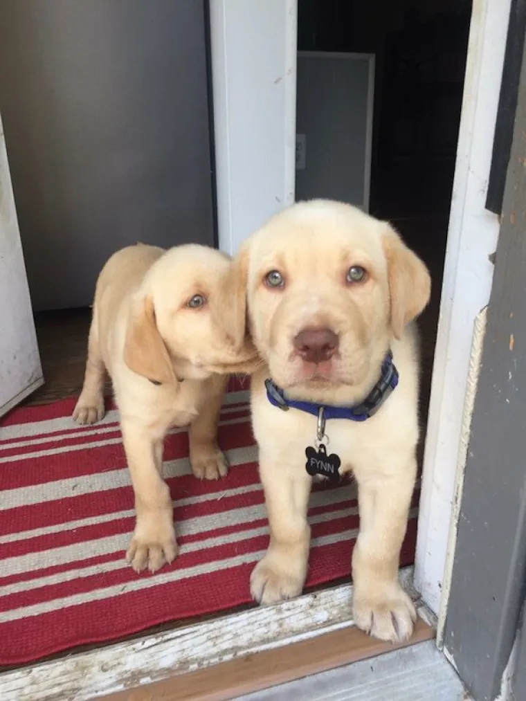 DOSTA JE BILO POLITIKE I NEGATIVE! Razveselite se uz njihove preslatke nju&scaron;kice