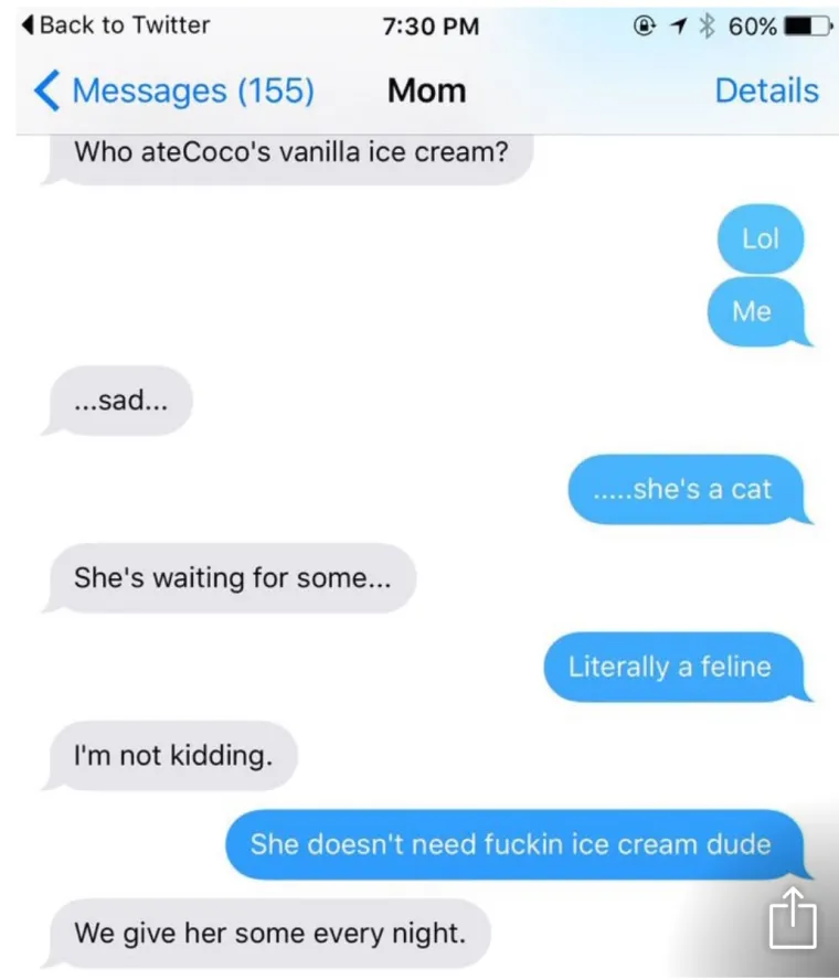 Zabrinuta majka pitala je tko je pojeo sladoled od vanilije jer mačka očekuje dobiti svoju porciju. Kada je kći priznala da je ona pojela sladoled, majka joj je počela nabijati krivnju.