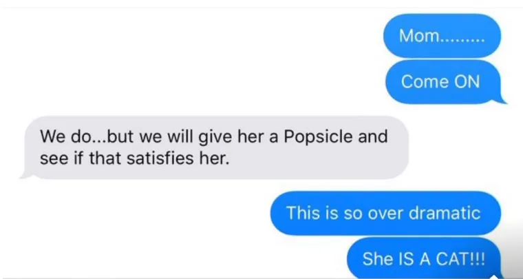 Kći se počela opravdavati da je samo riječ o mački, a majka je nastavila s nabijanjem krivnje i rekla da će poku&scaron;ati mački da ti lizalicu i vidjeti je li joj to dostatna zamjena.