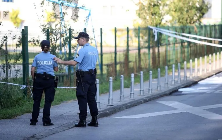 Zapaljena tri vozila i pročelje zgrade Knežiji