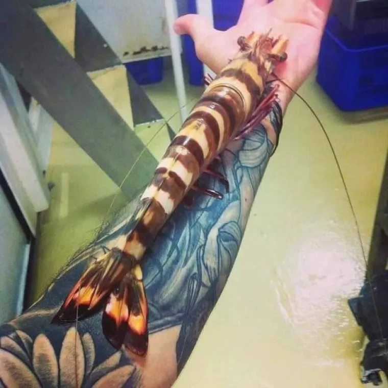 STVARNOST JE GORA OD HORORA: Životne situacije koje su gore od onih u filmovima