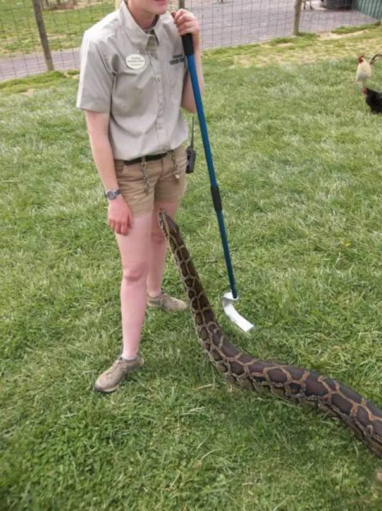 STVARNOST JE GORA OD HORORA: Životne situacije koje su gore od onih u filmovima