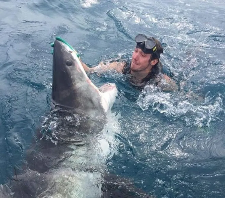 STVARNOST JE GORA OD HORORA: Životne situacije koje su gore od onih u filmovima
