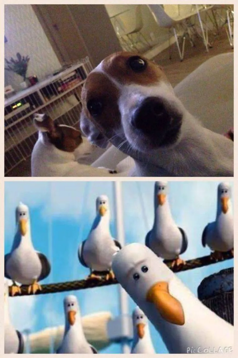 PRONA&Scaron;LI SVOJE DVOJNIKE U CRTIĆIMA: Likovi koji izgledaju kao da su temeljeni na stvarnim osobama