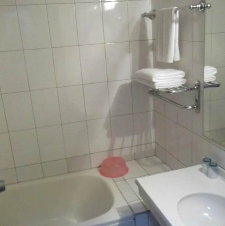 'Kada sam povukao vodu na WC-u, kupaonica je bila poplavljena' napisao je biv&scaron;i gost