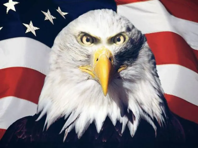 LJUDI NAPRAVILI ŽIVOTINJE NA SVOJU SLIKU: Evo &scaron;to se dogodi kada se ljudi umije&scaron;aju u savr&scaron;eni dizajn evolucije