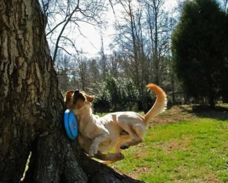 VI&Scaron;E NI&Scaron;TA NEĆE BITI ISTO: Snimili trenutak prije događaja koji će im zauvijek promijeniti život