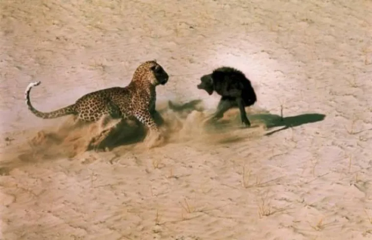 VI&Scaron;E NI&Scaron;TA NEĆE BITI ISTO: Snimili trenutak prije događaja koji će im zauvijek promijeniti život