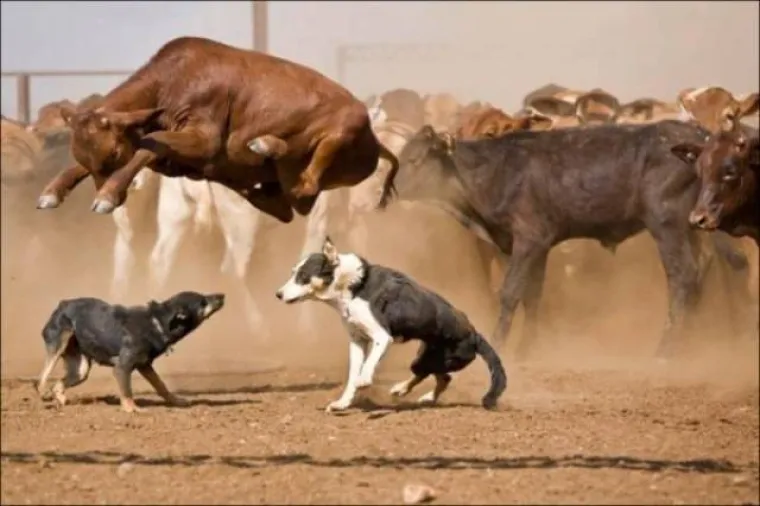 VI&Scaron;E NI&Scaron;TA NEĆE BITI ISTO: Snimili trenutak prije događaja koji će im zauvijek promijeniti život