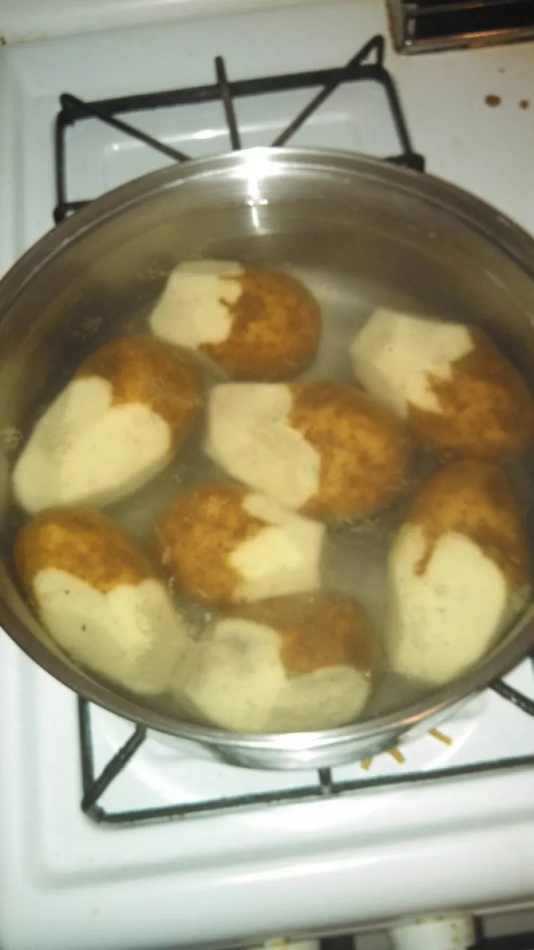 AKO NE ZNATE KUHATI, NISTE JEDINI: Uspjeli su postići nemoguće i svjetski se osramotiti