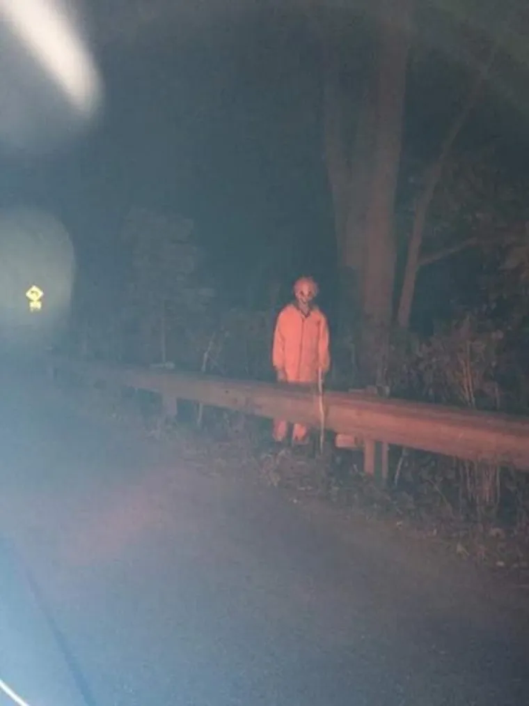 OD SADA VOZIMO SAMO DANJU... Fotografije čistog užasa koje su ljudi stvarno vidjeli uz cestu