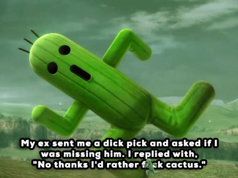 Biv&scaron;i mi je poslao sliku svojeg penisa i pitao nedostaje li mi. Odgovorila sam da bih radije po&scaron;evila kaktus.