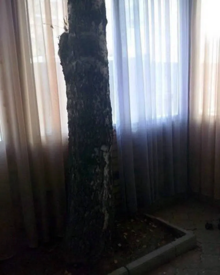 IZVANZEMALJCI SLETJELI U RUSIJU! Nećete vjerovati &scaron;to su sve snimili