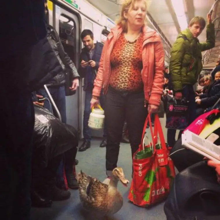 IZVANZEMALJCI SLETJELI U RUSIJU! Nećete vjerovati &scaron;to su sve snimili