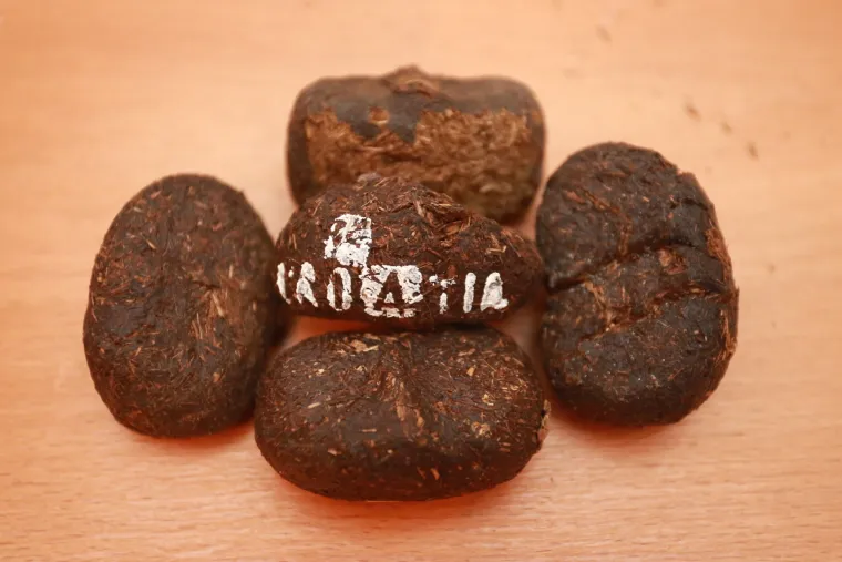 Kakav nos za biznis: magareći izmet u celofanu prodaju kao suvenir