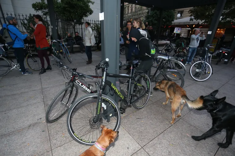 Prosvjed na Cvjetnom trgu