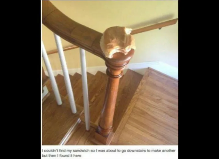 IZGLEDA DA SU NE&Scaron;TO ZABORAVILI... Ova ekipa je živi dokaz da je popis dobra stvar