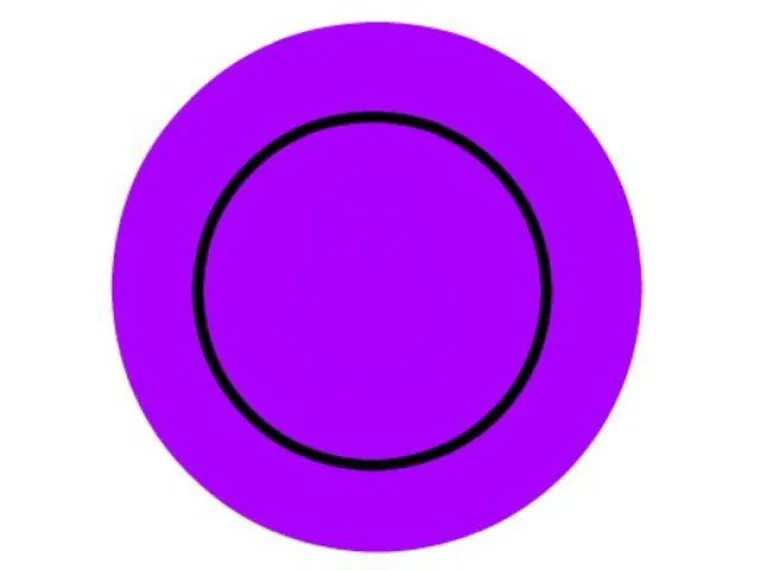 JESTE LI PRONICLJIVI? Testirajte svoje oči, ali i svoj um ovim te&scaron;kim testom