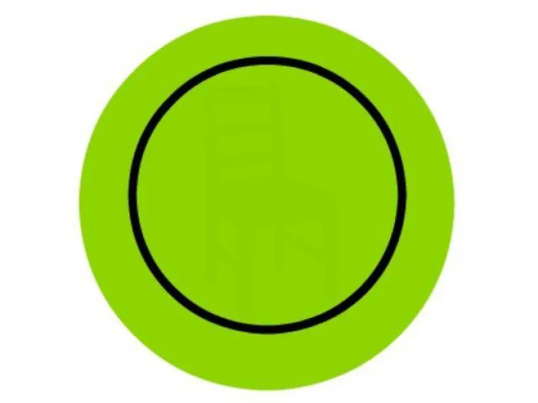 JESTE LI PRONICLJIVI? Testirajte svoje oči, ali i svoj um ovim te&scaron;kim testom