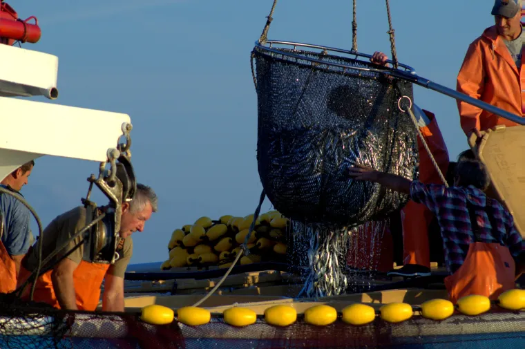 Prava ruta: Big Game Fishing