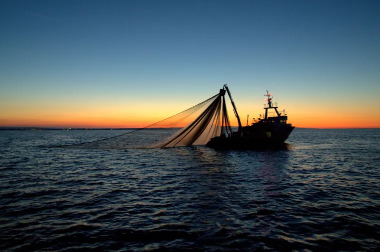 Prava ruta: Big Game Fishing