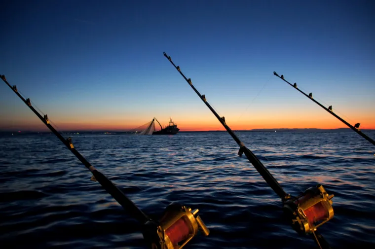 Prava ruta: Big Game Fishing