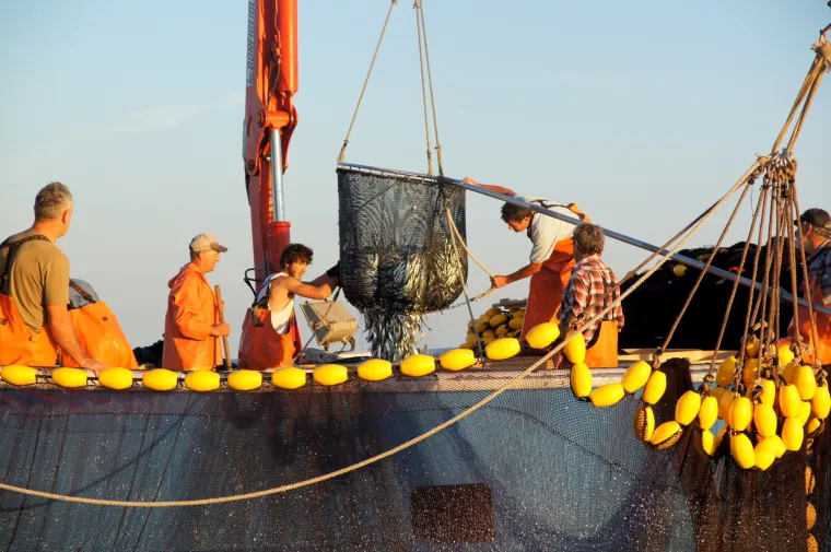 Prava ruta: Big Game Fishing