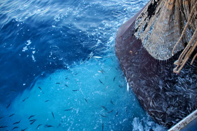 Prava ruta: Big Game Fishing