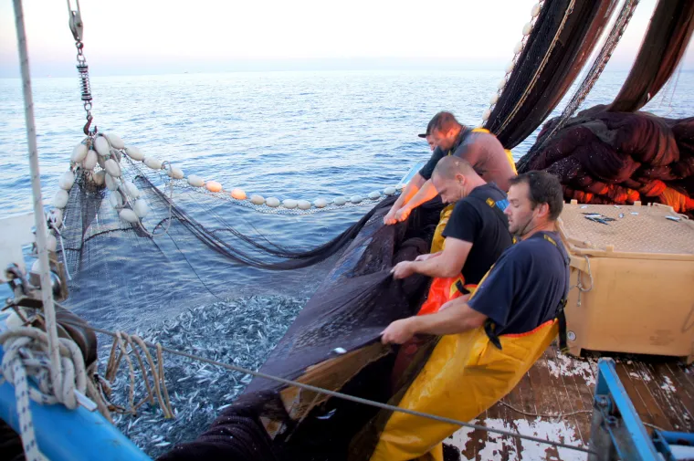 Prava ruta: Big Game Fishing