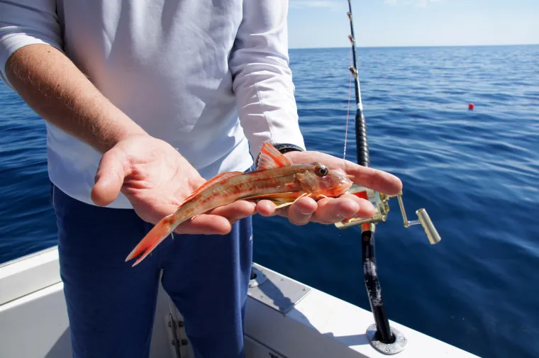 Prava ruta: Big Game Fishing