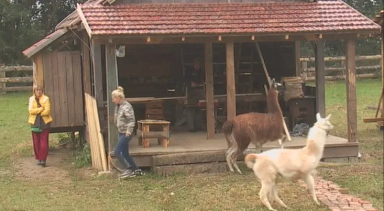 Ljutita Daniela na Farmi: 'Nađite rje&scaron;enje ili ću vam ga ja naći'