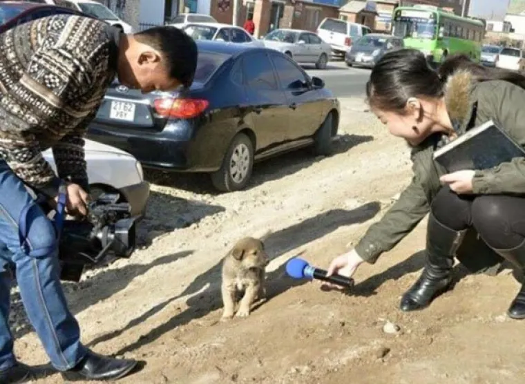 DOMOVINA NAJVEĆIH BIZARNOSTI I PERVERZIJA: Dobro do&scaron;li u Japan, poku&scaron;ajte ostati pribrani dok gledate fotogaleriju