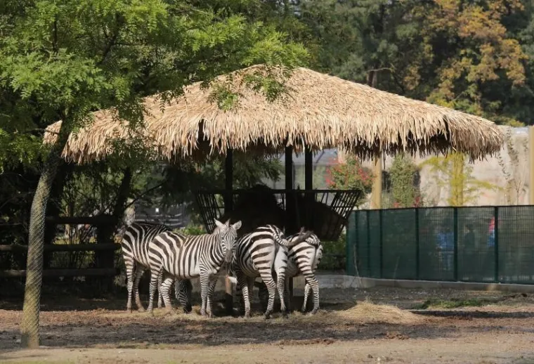 Svečano otvoren obnovljeni zagrebački ZOO vrt