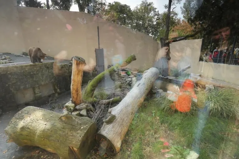 Svečano otvoren obnovljeni zagrebački ZOO vrt