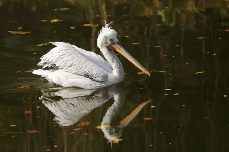 Svečano otvoren obnovljeni zagrebački ZOO vrt