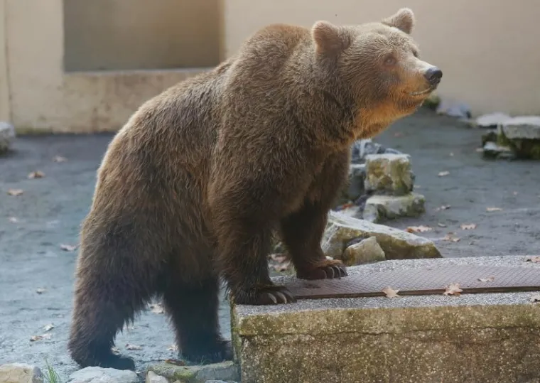 Svečano otvoren obnovljeni zagrebački ZOO vrt