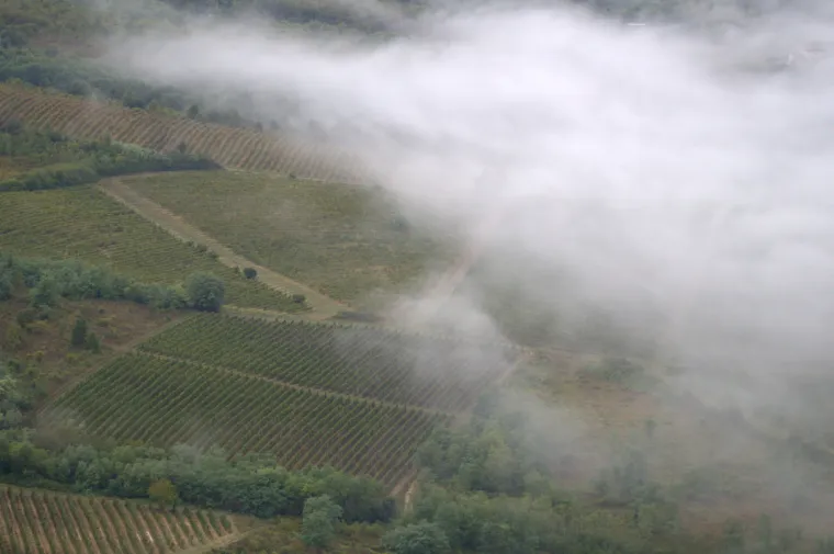 Prava ruta: Rujan u Motovunu