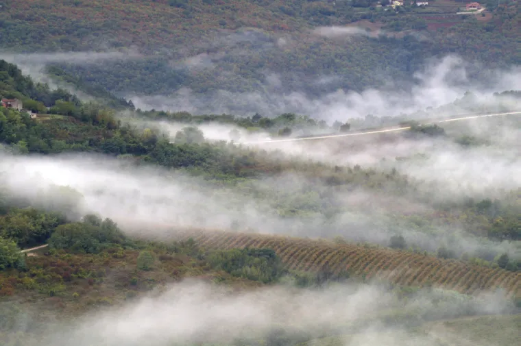 Prava ruta: Rujan u Motovunu