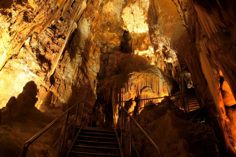 Prava ruta: Podzemni svijet Istre