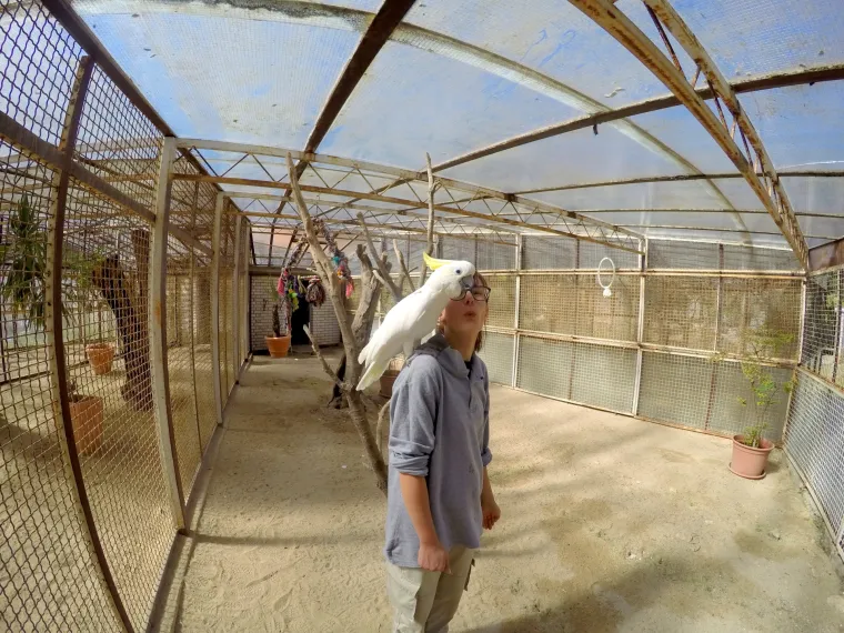 Prava ruta: Istraživanje Brijuna