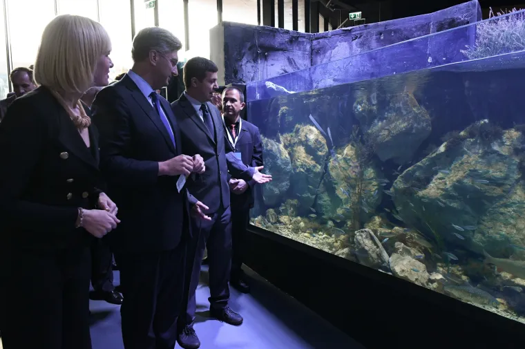 U Karlovcu otvoren prvi slatkovodni akvarij: u 25 bazena Aquatike predstavljen cijeli tok krške rijeke