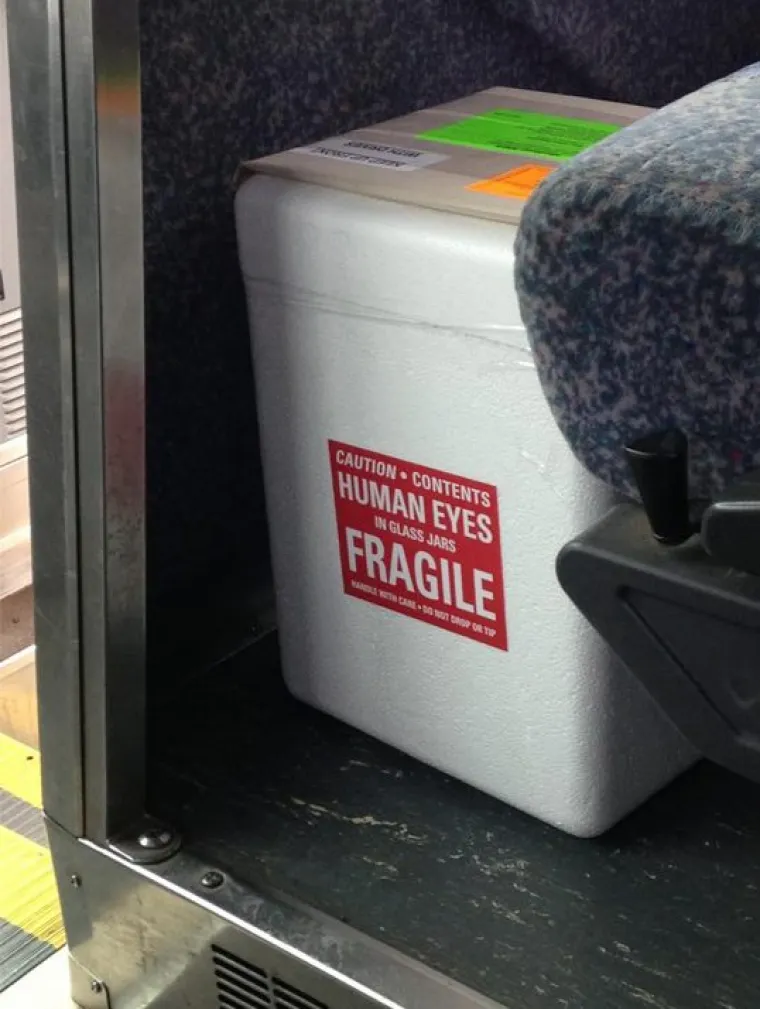 OVE VLAKOVE MOŽETE GOTOVO NAMIRISATI: Prizori koje nikako ne želite vidjeti u javnom prijevozu