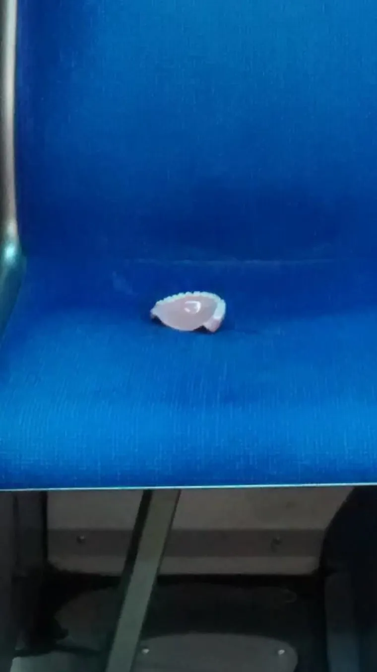 OVE VLAKOVE MOŽETE GOTOVO NAMIRISATI: Prizori koje nikako ne želite vidjeti u javnom prijevozu