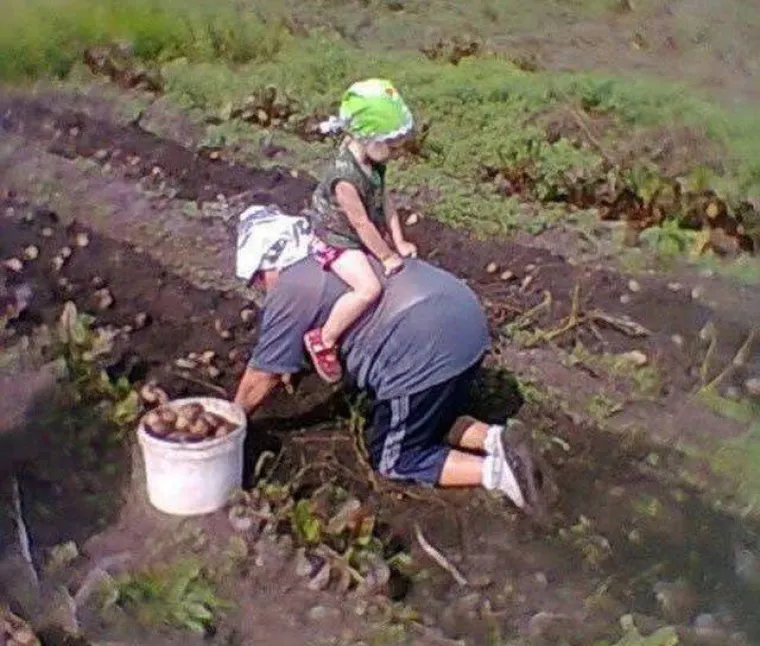 JASNO SE VIDI TKO JE GLAVNI KOD NJIH U VEZI: Neki jednostavno vole biti &scaron;efovi i tome nama pomoći